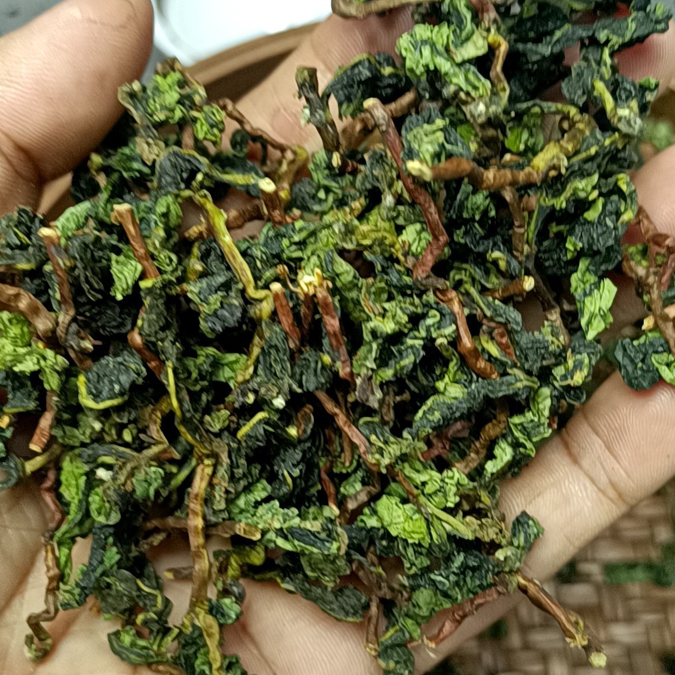 毛茶消青铁观音茶叶消青工艺