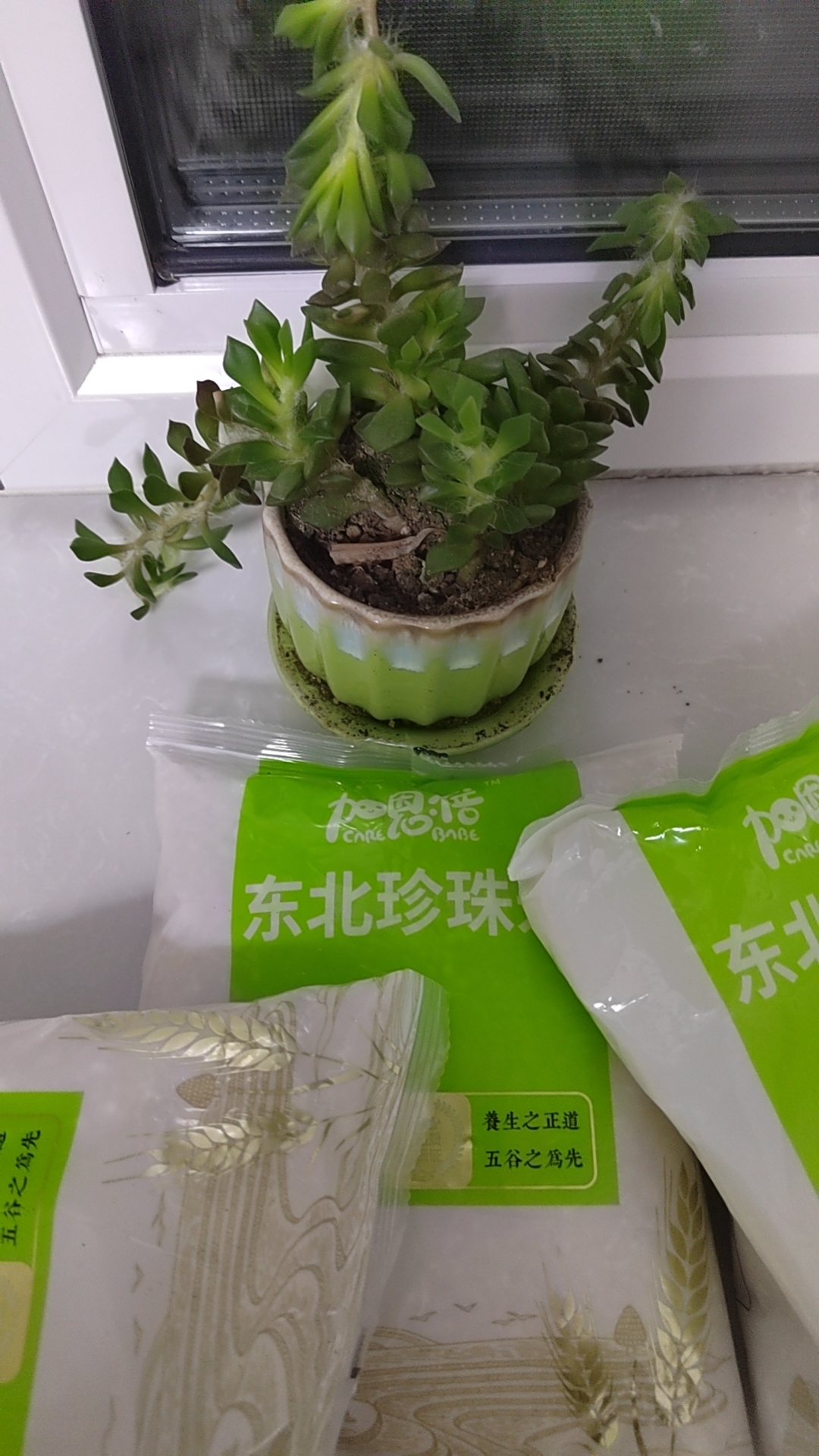 到手一包700g 破损丢件联系客服绿植盆栽商家