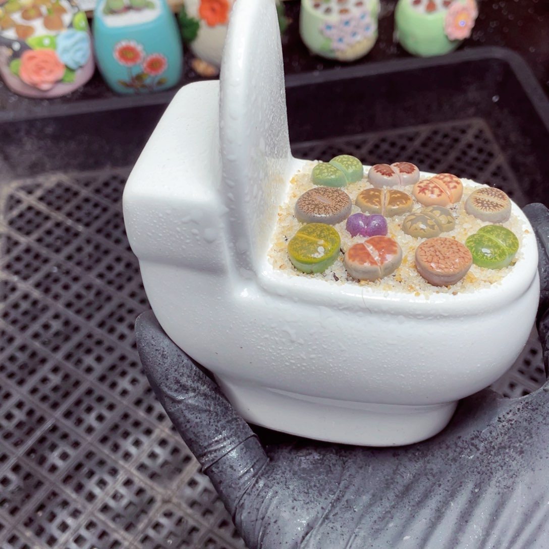 w1068-马桶，一物一拍两盆