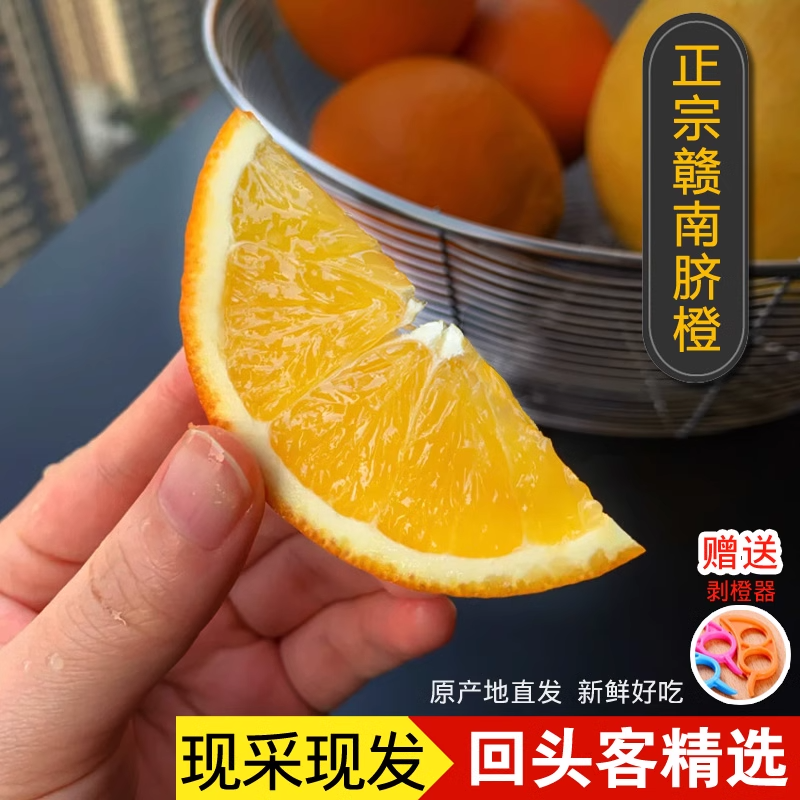【果园现采】江西赣南脐橙皮薄肉厚橙汁多果园直发新鲜不催熟脐橙