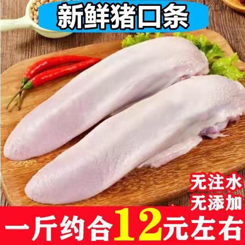 【年货】新鲜冷冻猪舌头猪口条非无根口条猪舌猪舌尖新鲜卤菜