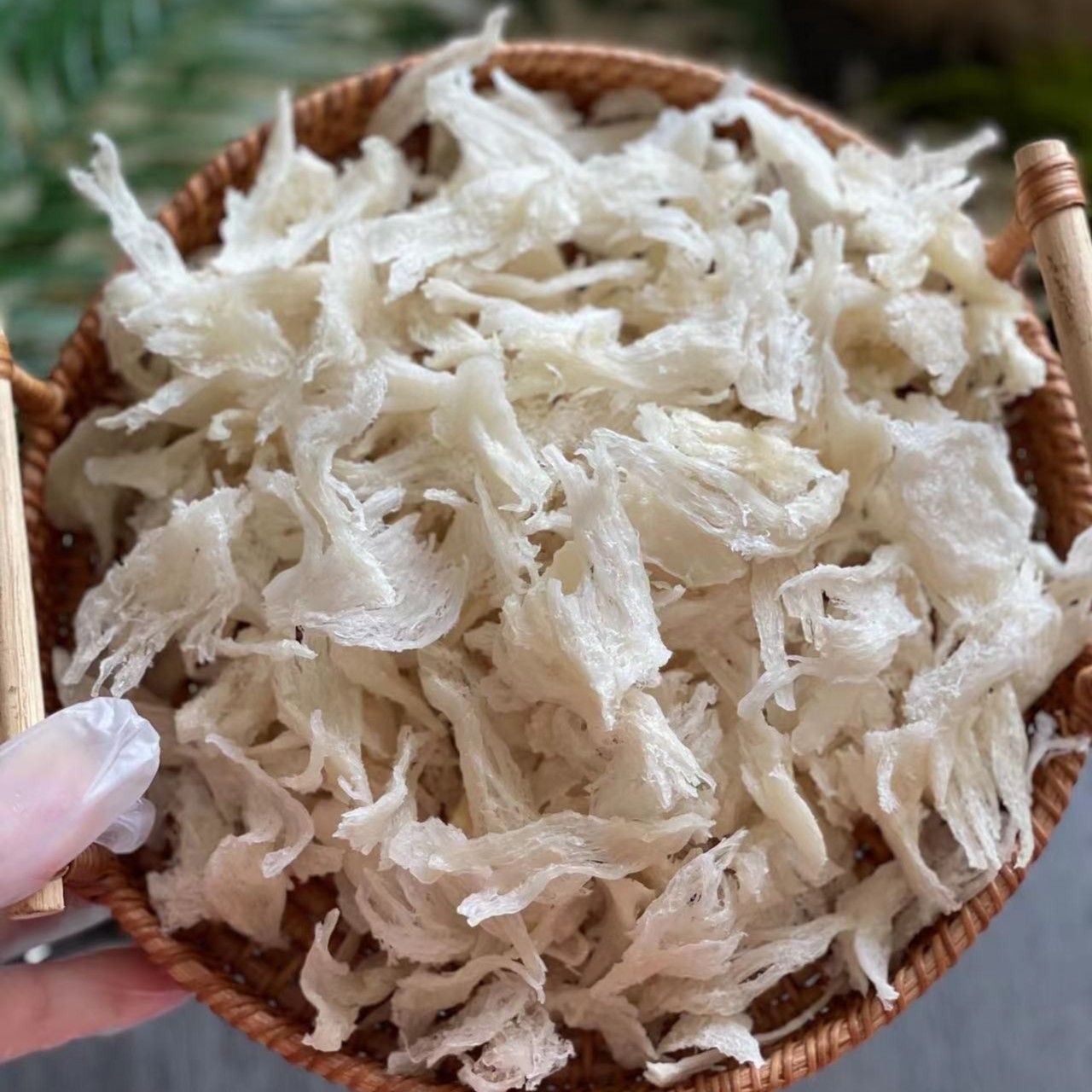 真善行高净度 角条50-500g燕窝燕角官燕燕盏营养日常