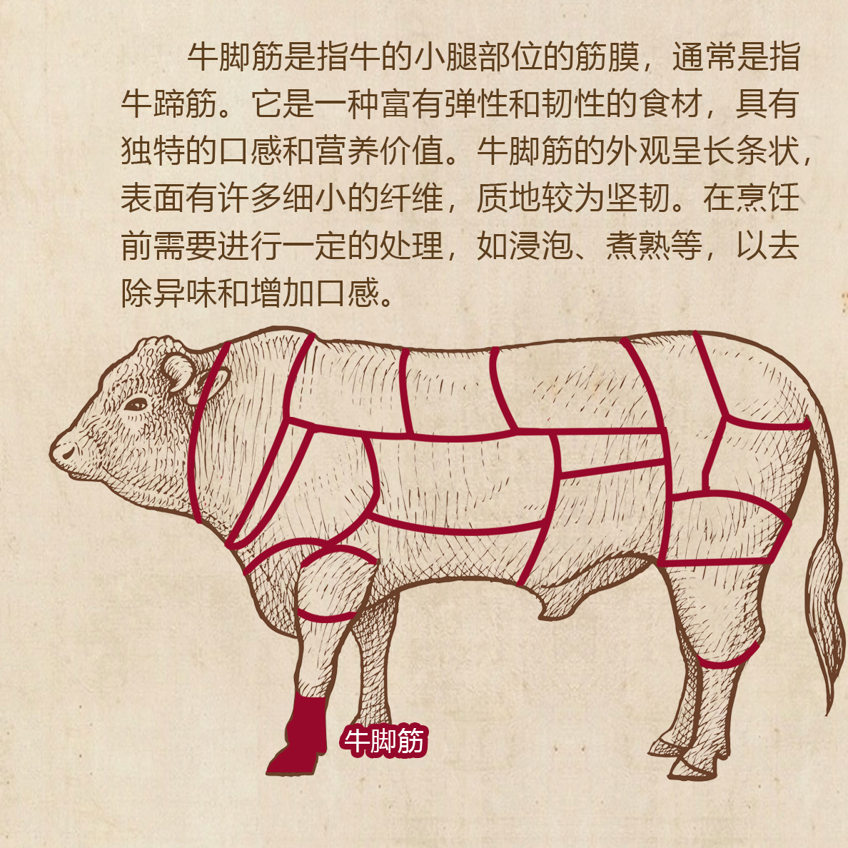 羊头 一个 新鲜营养