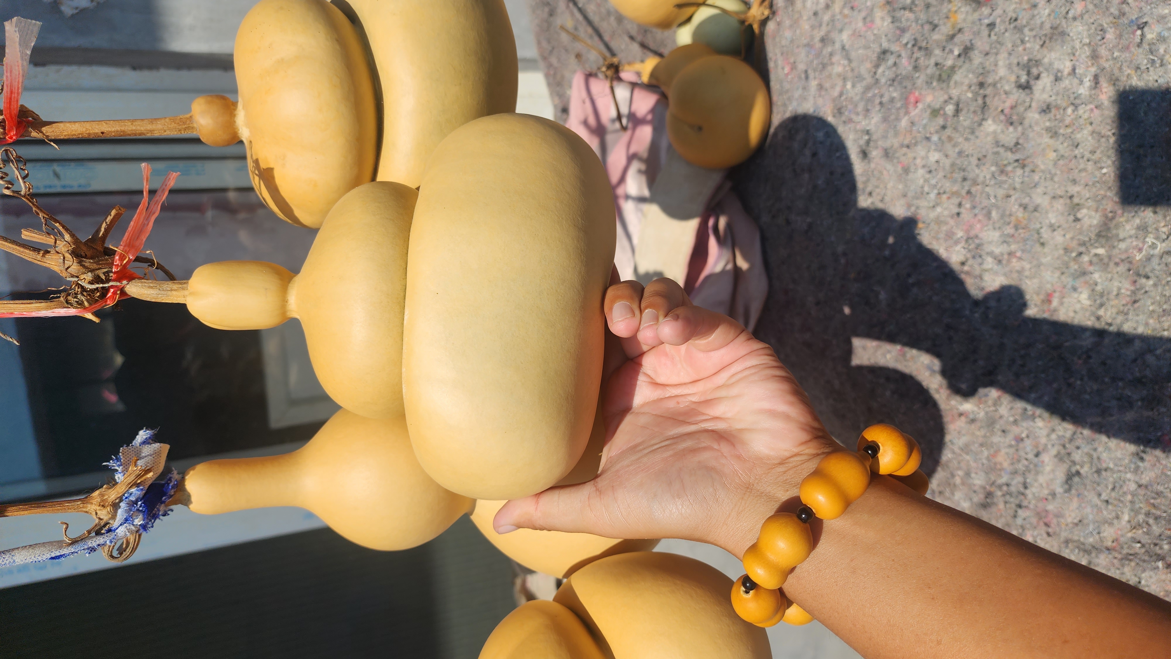 天然葫芦，直播间选购链接