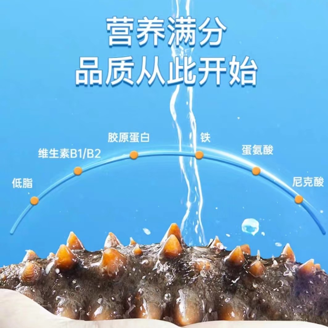 鲜活海参十斤处理七分熟发货