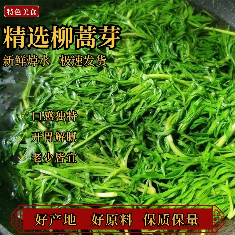 东北野生山野菜柳蒿芽焯水速冻真空封鲜包装4斤包邮发货