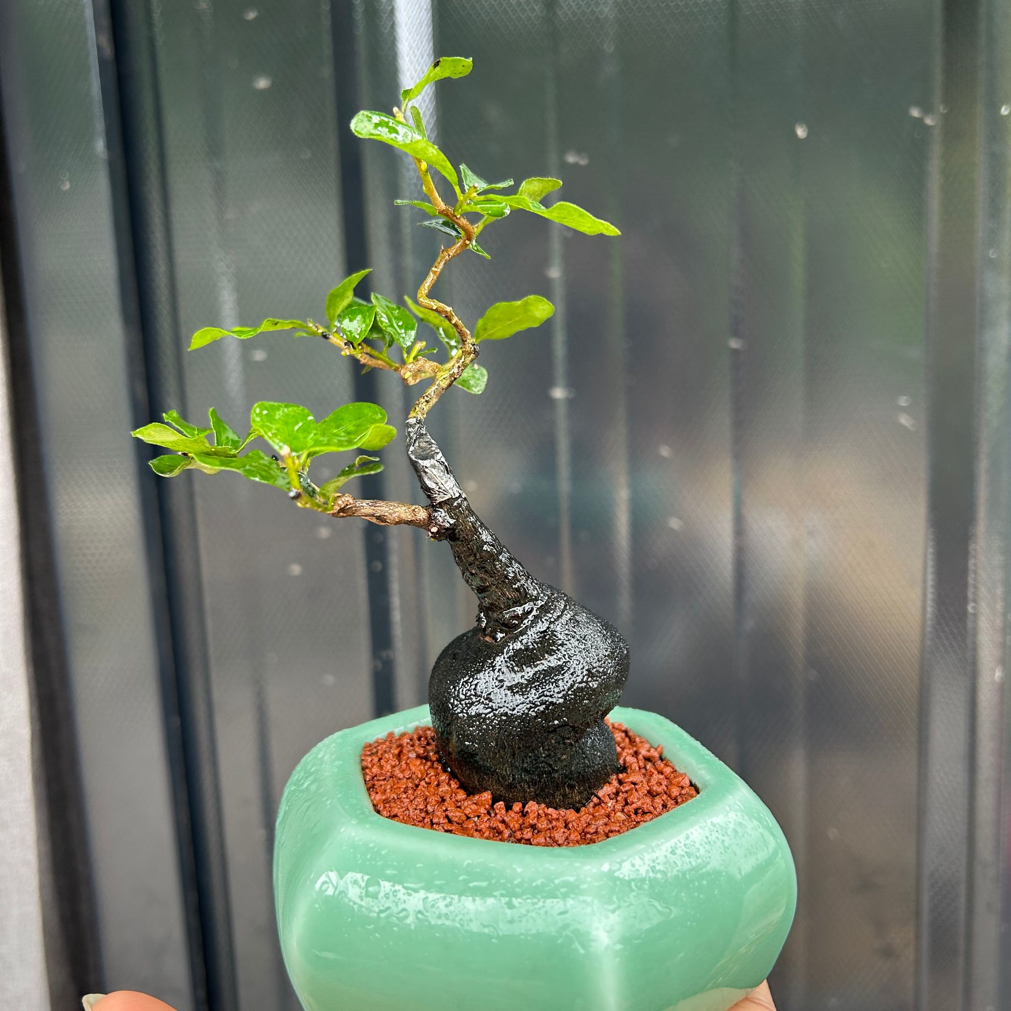 一物一拍一付！！！不要去乱付钱，乱付钱就是空包裹