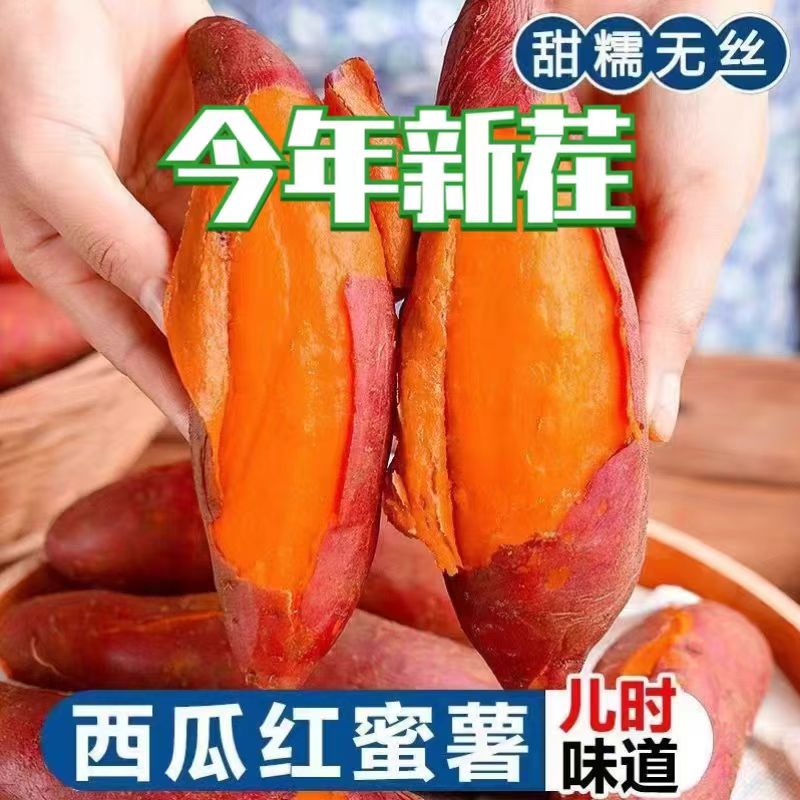 红薯河南西瓜红蜜薯软糯香甜无丝4.5斤京东包邮