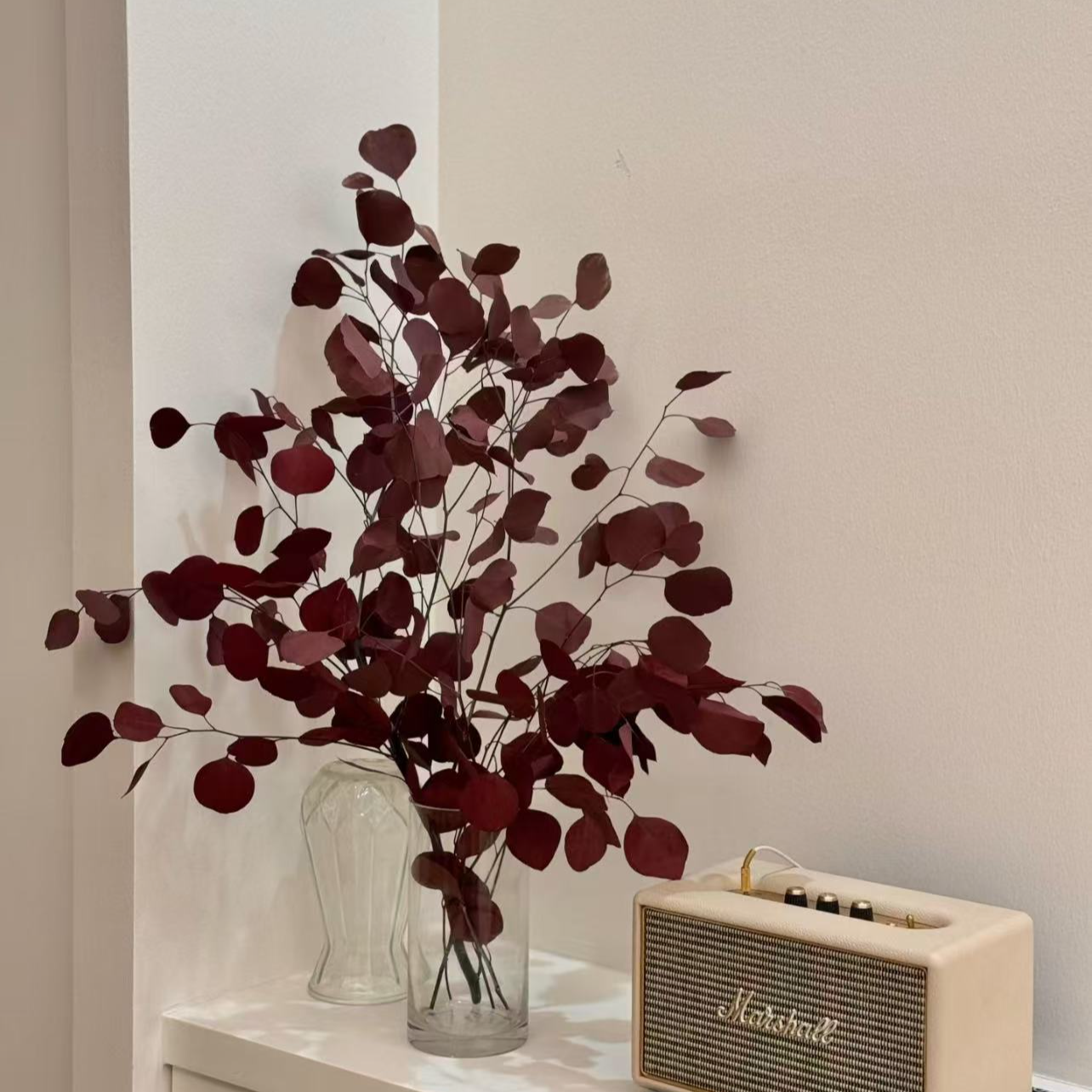 【桌面款】永生苹果尤加利叶