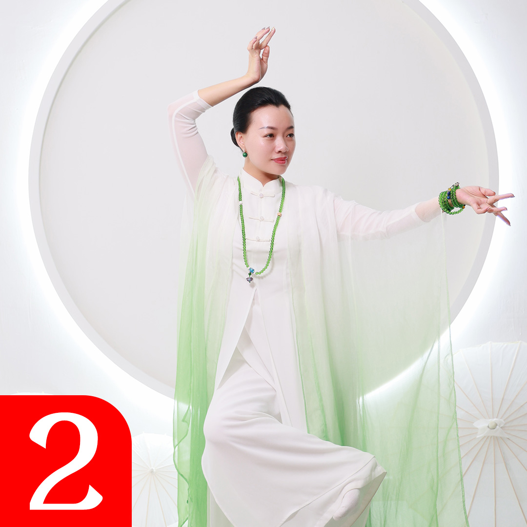 禅舞2阶【身韵强化】直播回放+视频教程+练习音乐+练习指导 赠舞鞋