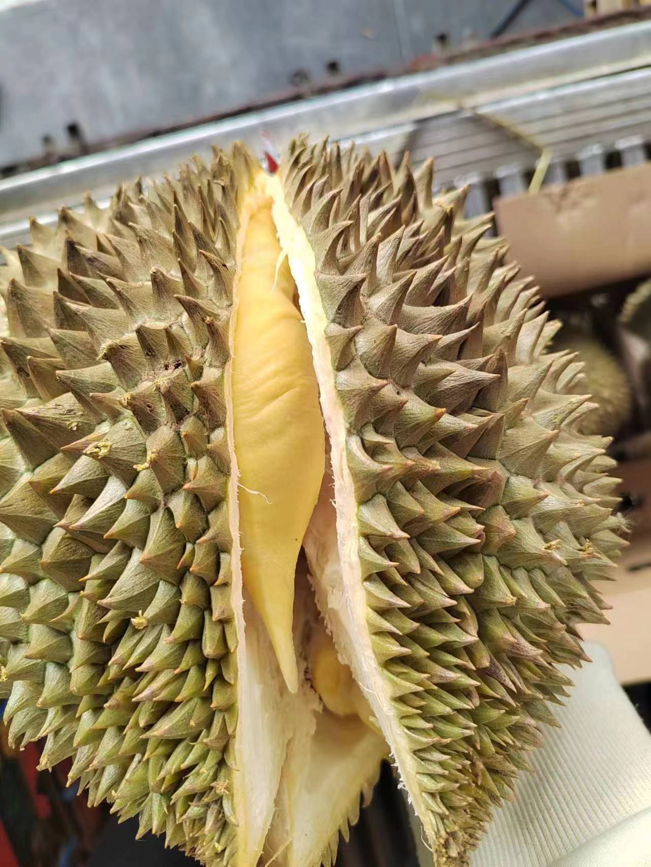 3A级  泰国树熟金枕到货