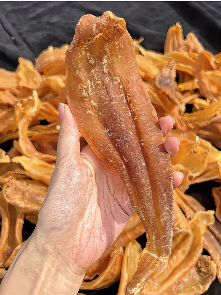 正三门土鳘 老土鳘公胶公肚花胶干货月子滋补品