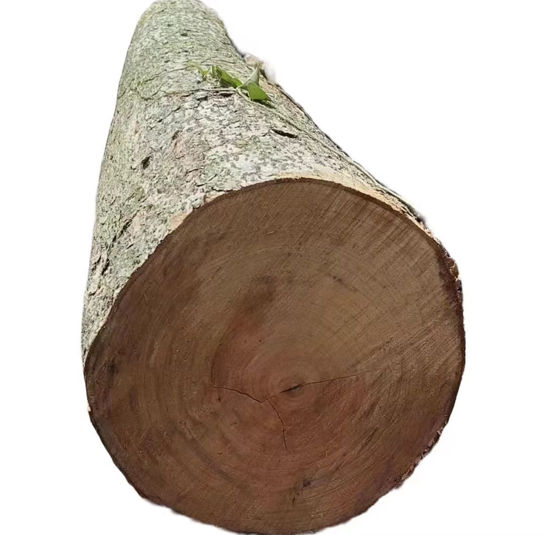 四川小叶金丝楠木原木批发，纹理清晰，木质坚硬