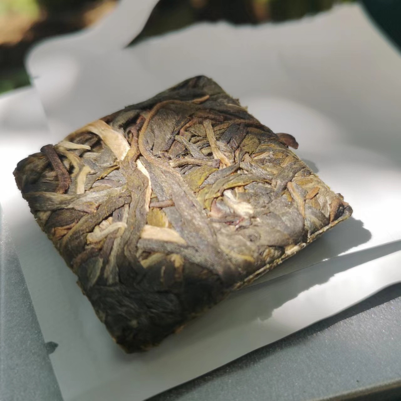 2023小户赛方片（10片装）