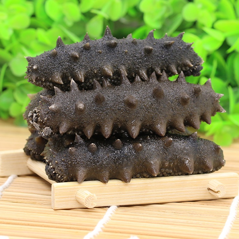 【顶火半干25-32头】大连顶火候半干拉缸盐海参500g非即食海参营养