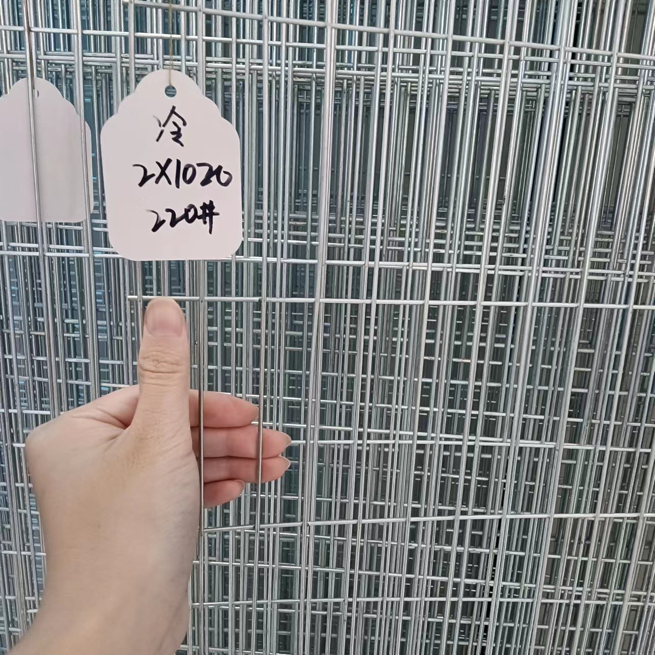 鸽舍围网 地网 镀锌网片 防锈鸽笼 鸟笼网长条孔围网 2*10孔