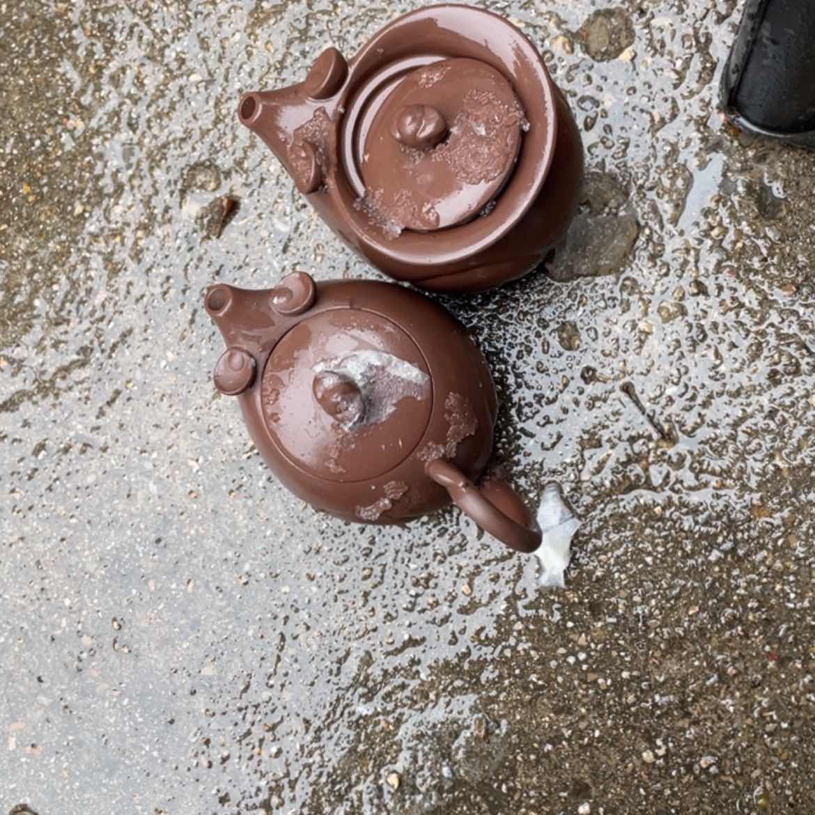 【闪购商品】紫砂茶壶江*左