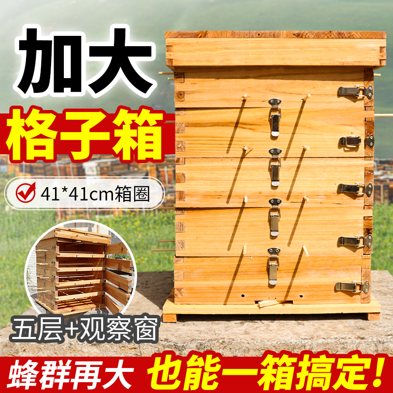 加大尺寸格子箱中蜂格子箱养蜂箱土养中蜂箱五层格子蜂箱厂家直销