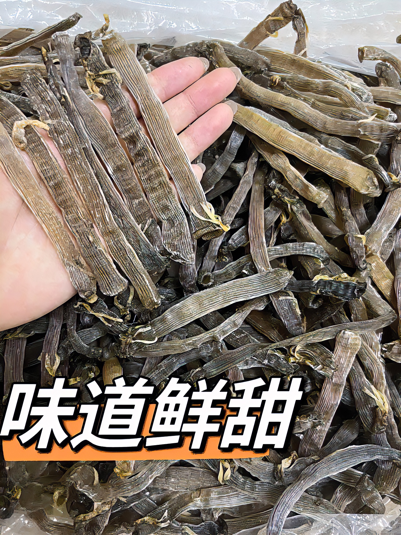 湛江渔民自晒黑沙虫干 煲粥 煲汤  肉感厚实 营养健康 炖汤天然