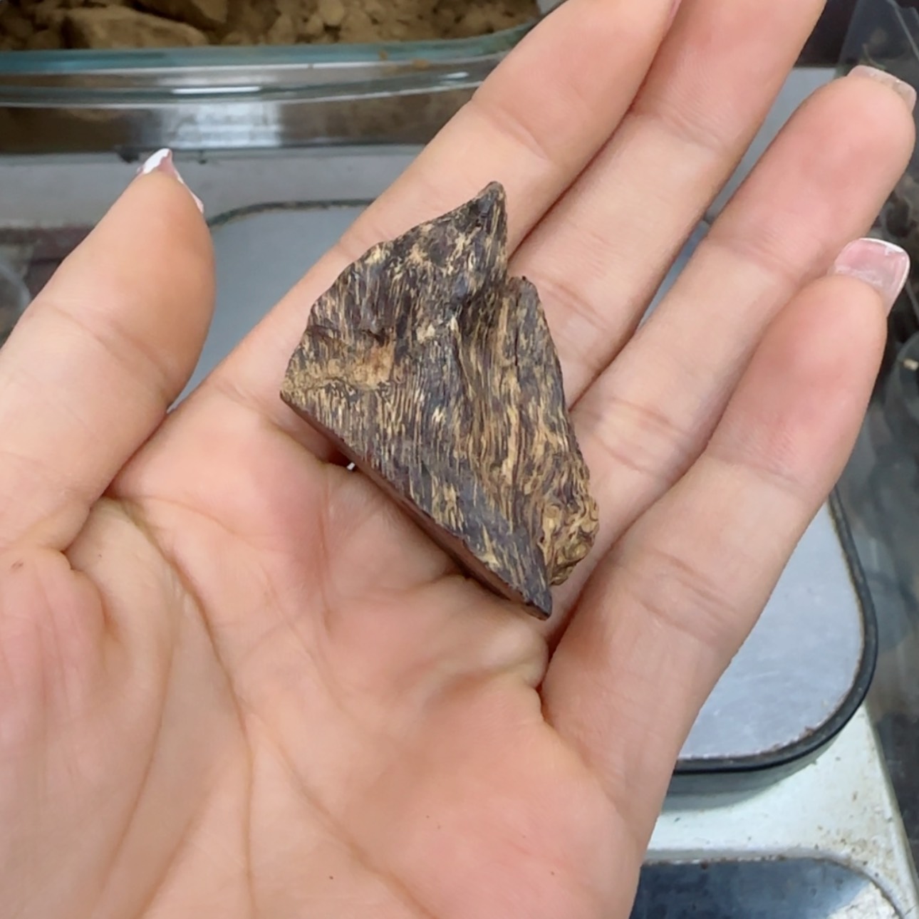 【闪购商品】桑**姆越南沉香99分块料7克