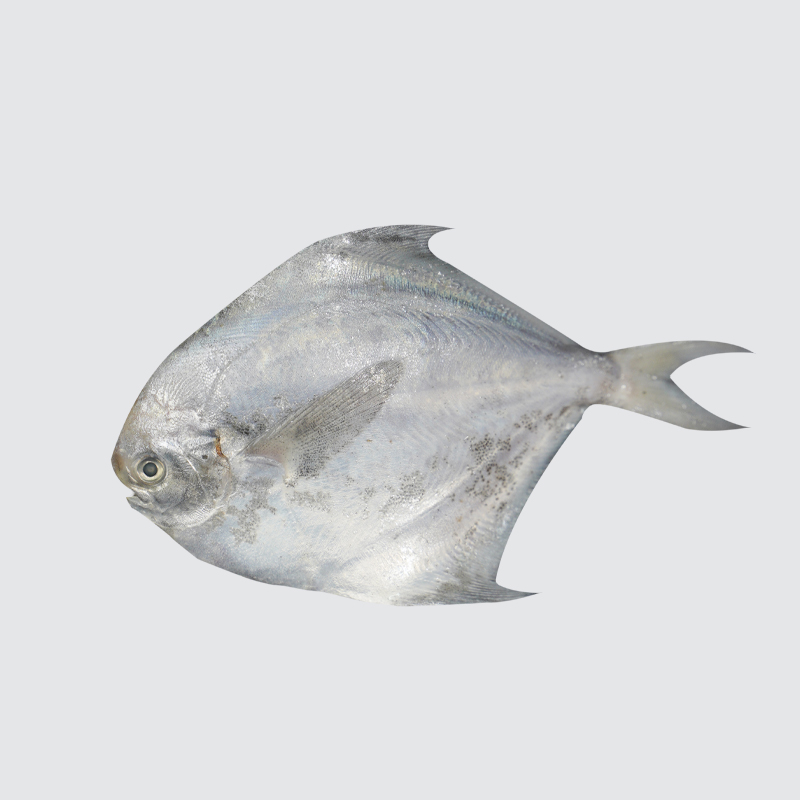 本港鲜鲳鱼500g/份（线上）