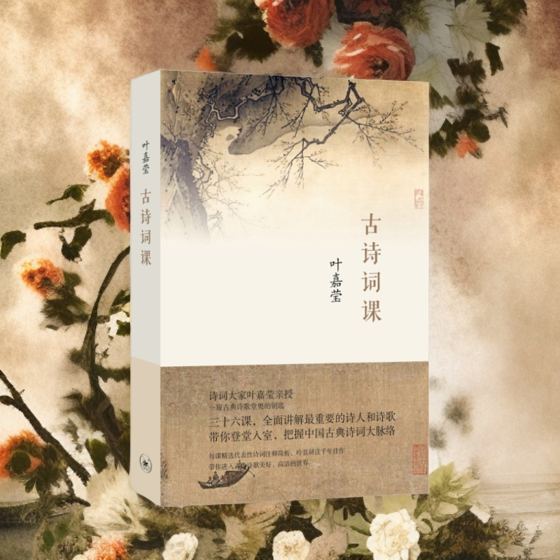 古诗词课 叶嘉莹著 迦陵中国古诗词大全集 古典文学理论修养进阶 