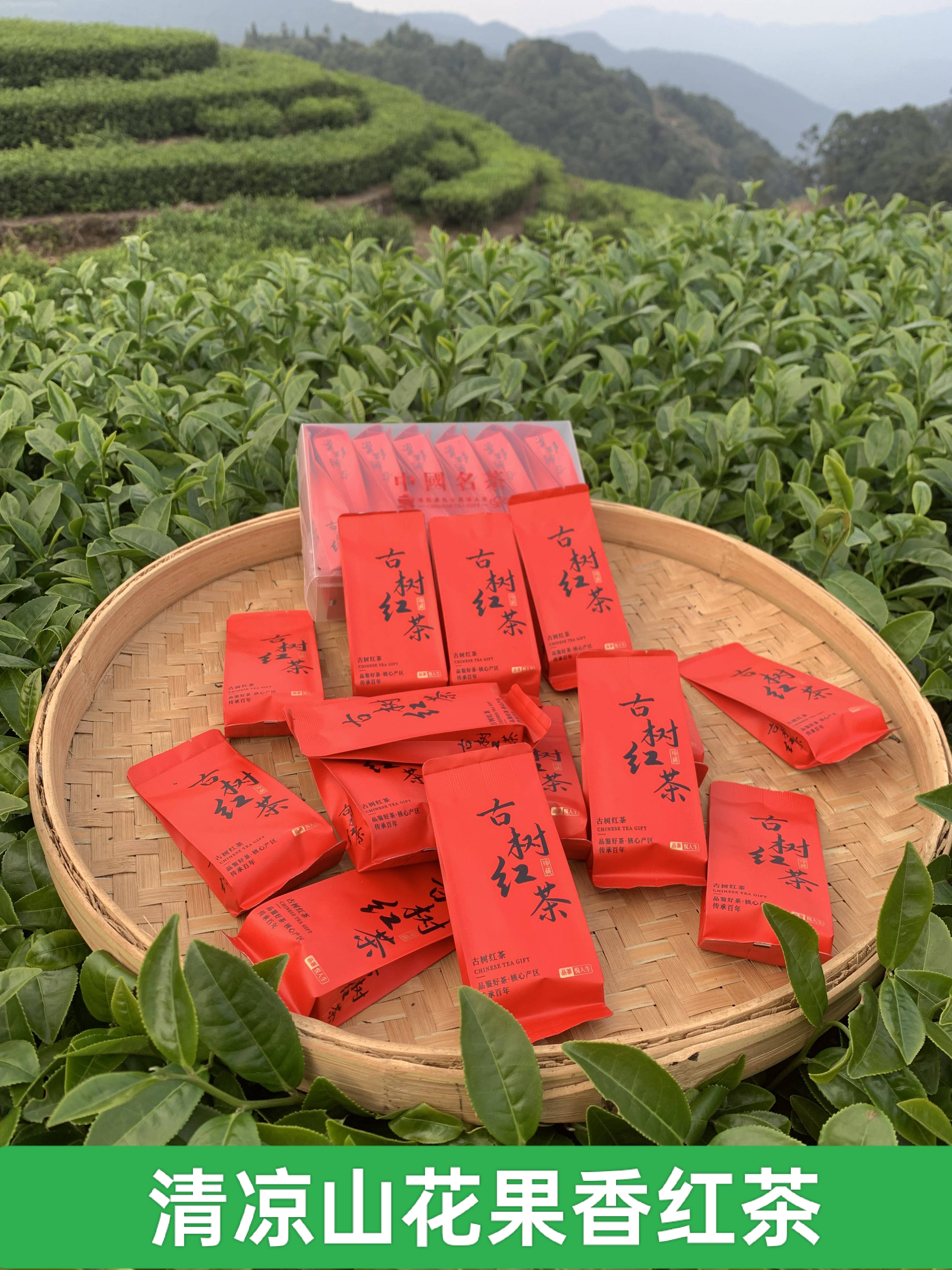 梅州清凉山花果香8泡装（适合试饮品鉴）浓香型罐装