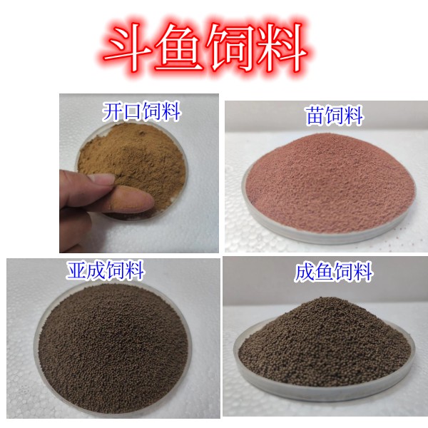 饲料斗鱼专用饲料鱼场自己用放心购买