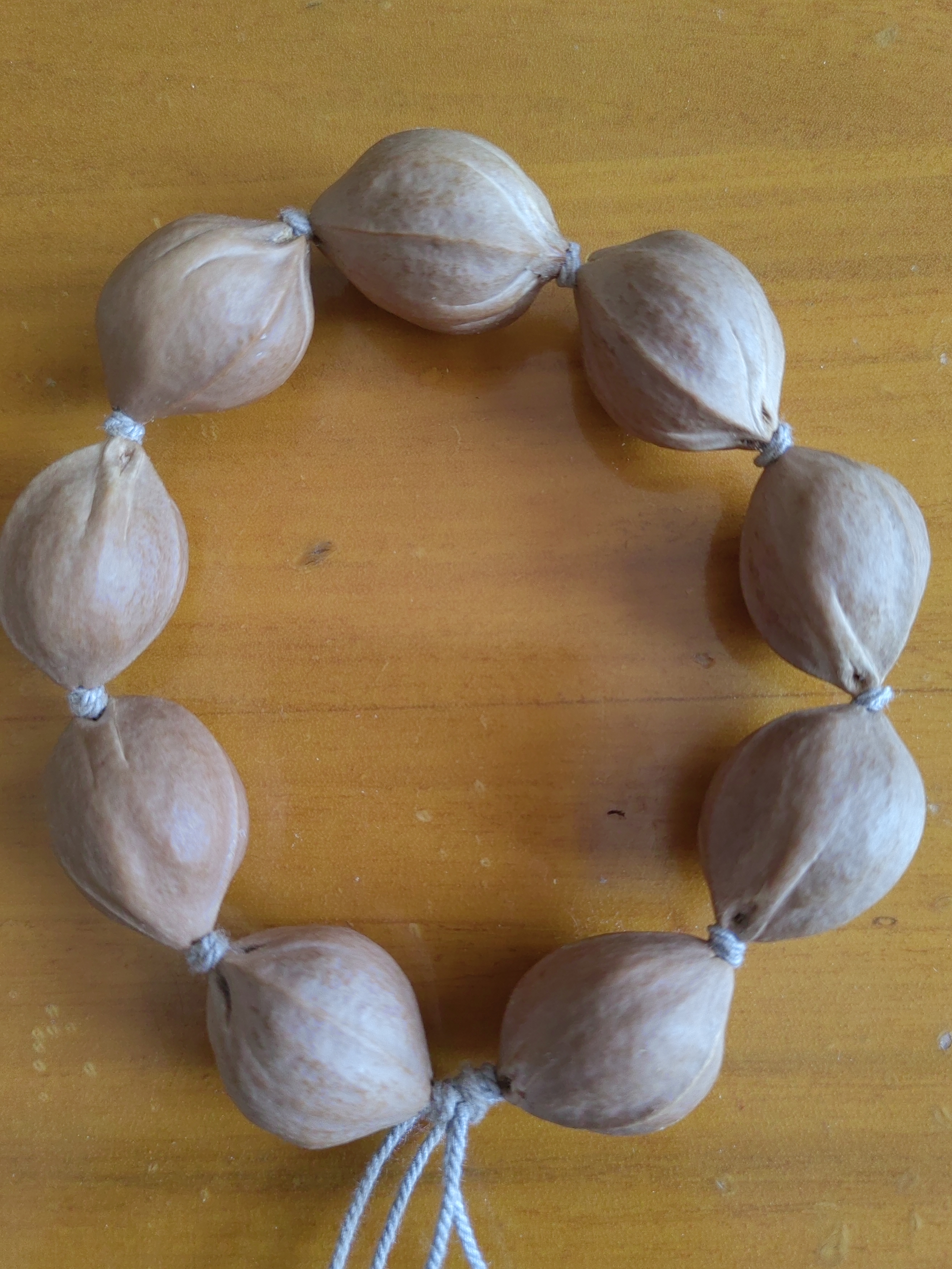 原生态梅林铁核素串