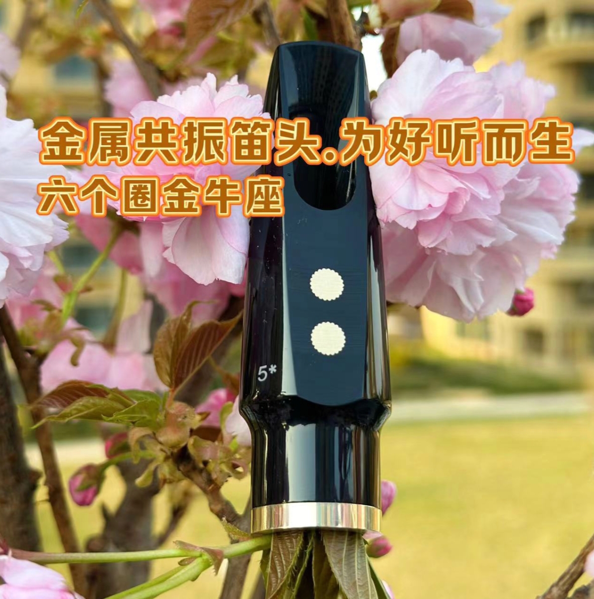 六个圈金牛座声学共振笛头萨克斯笛头