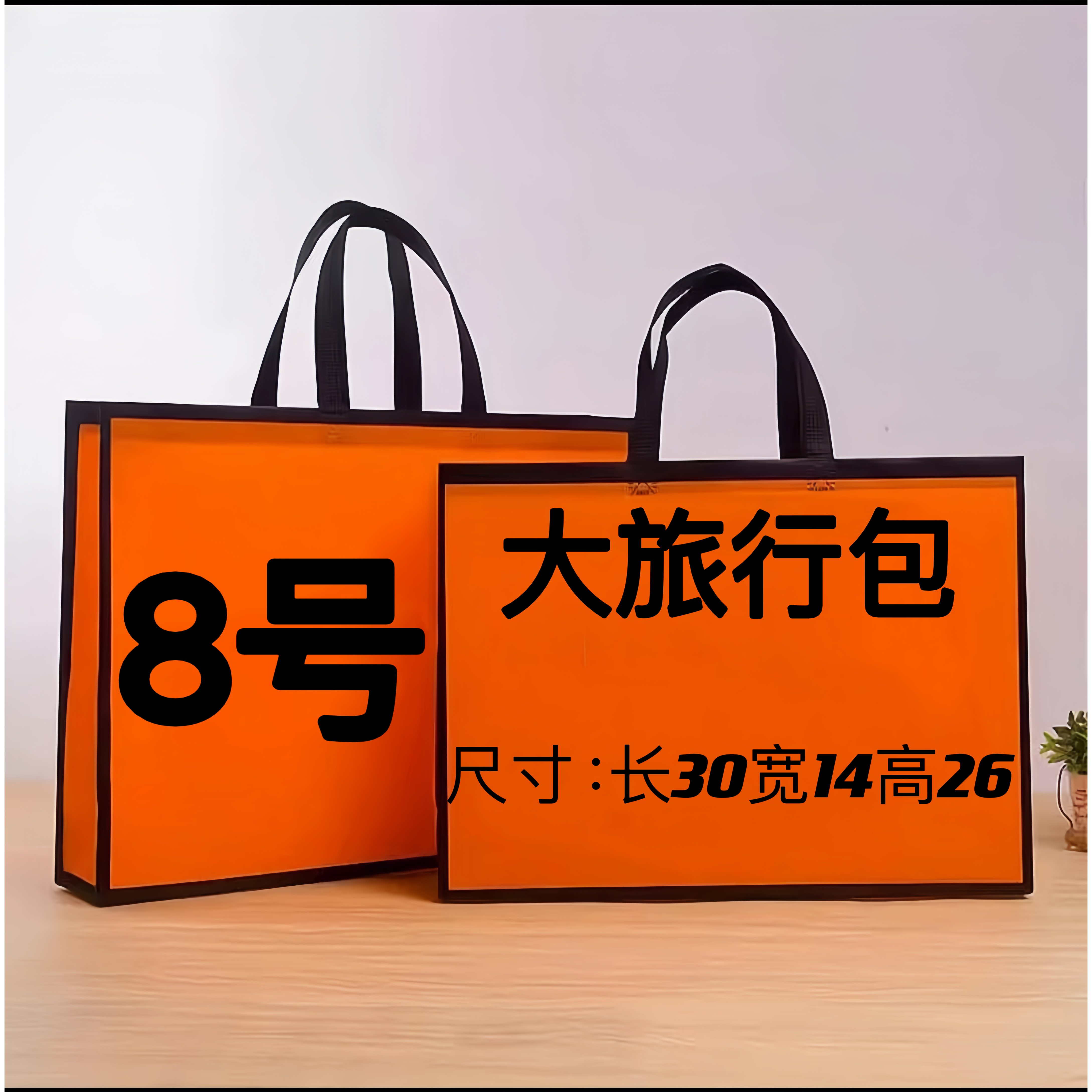 08号大旅行包运动时尚百搭简约单肩轻奢女包