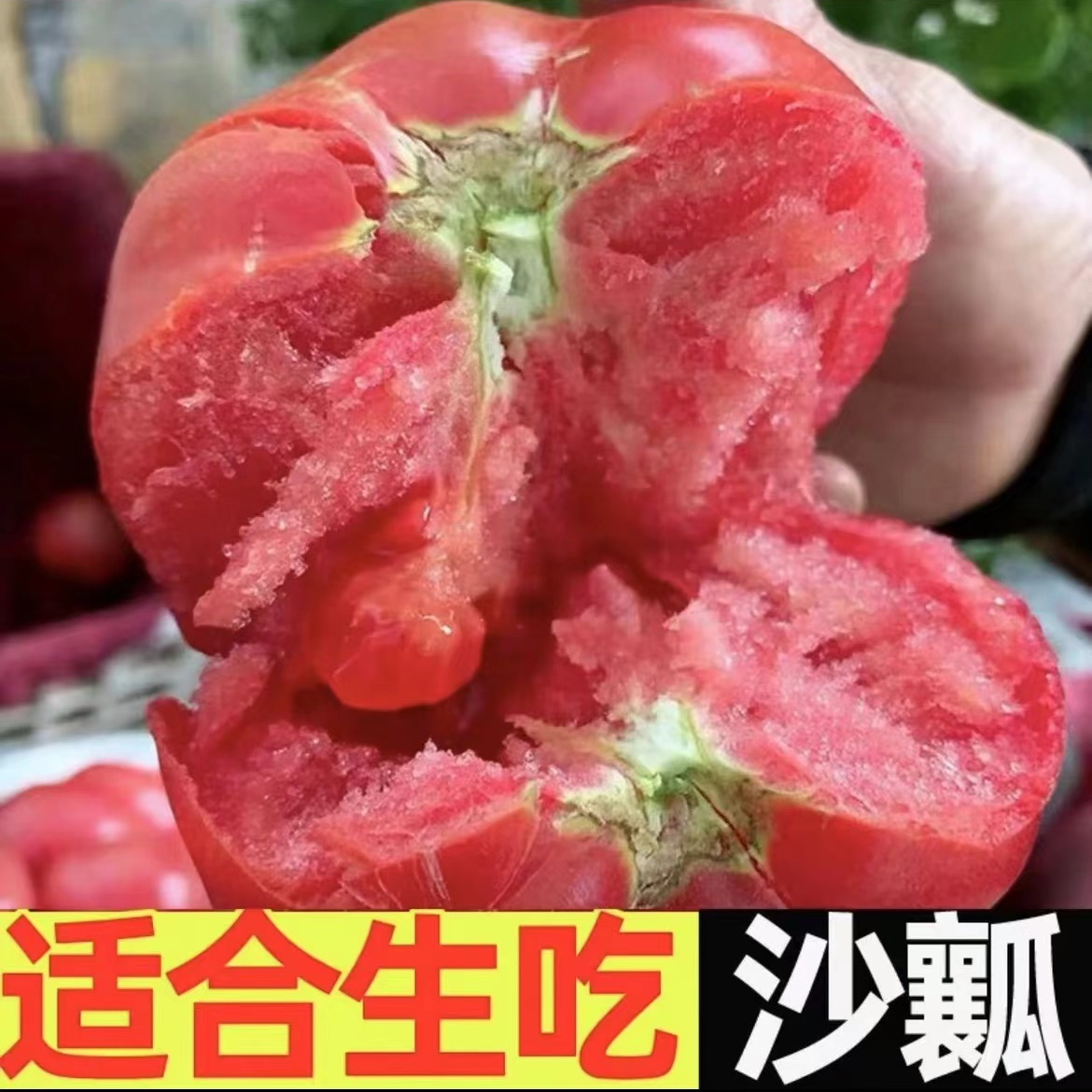a露天西红柿纯天然当季薄皮产地直发现摘新鲜自然成熟产地直发