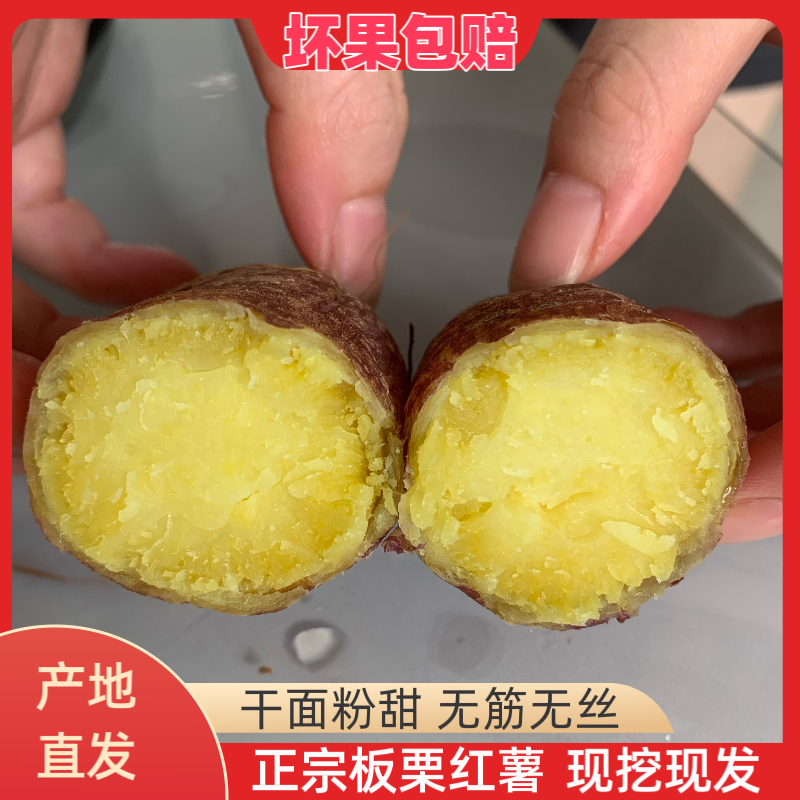 【济薯26】板栗红薯干面粉甜红皮黄心精品现挖现发粗粮蜜薯5斤净重