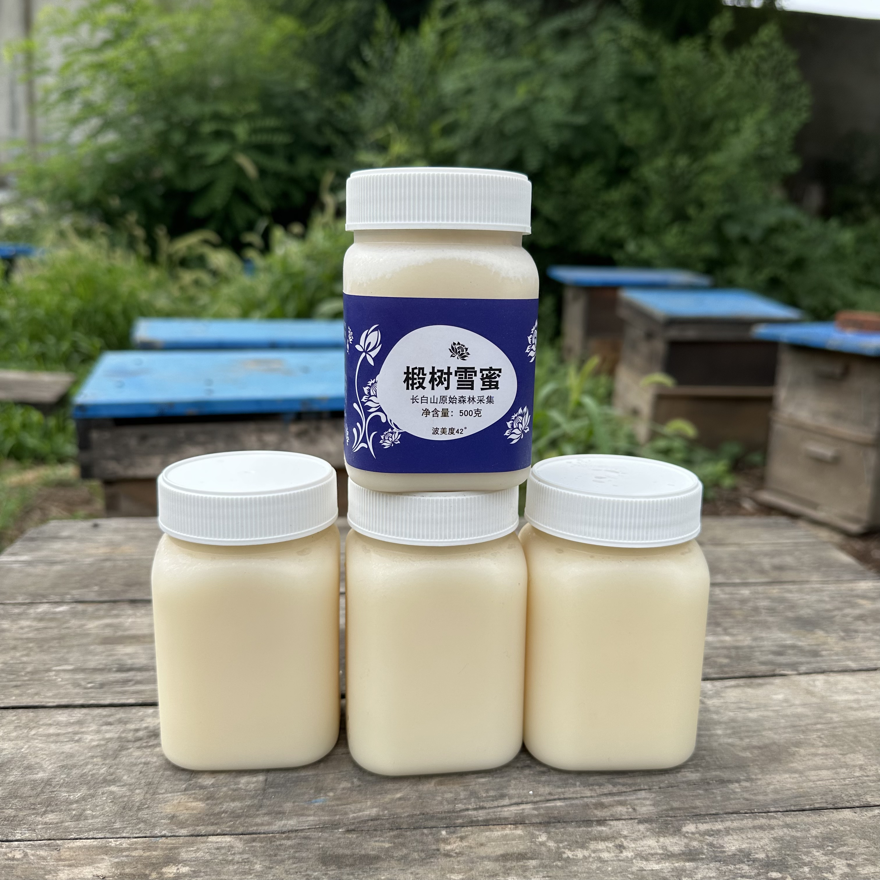 5斤长白山野生椴树雪蜜42度成熟原蜜（买四斤送一斤）