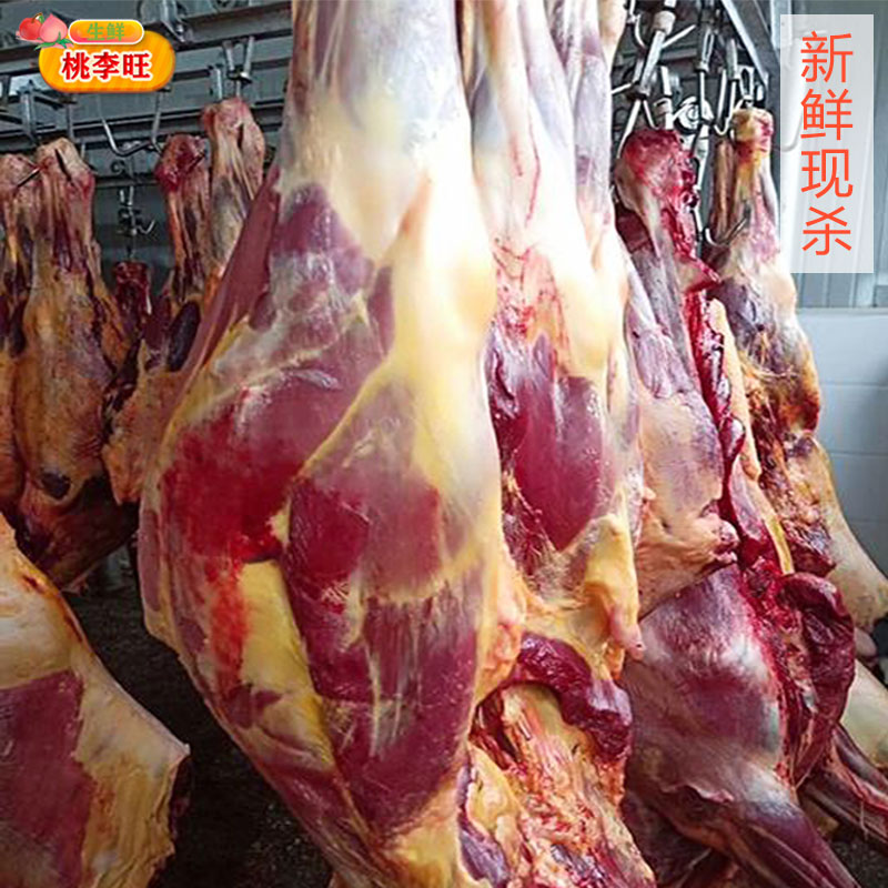 【马肉3斤】新鲜现杀马腿肉 不注水精品生马肉 特色美食 火锅烧烤