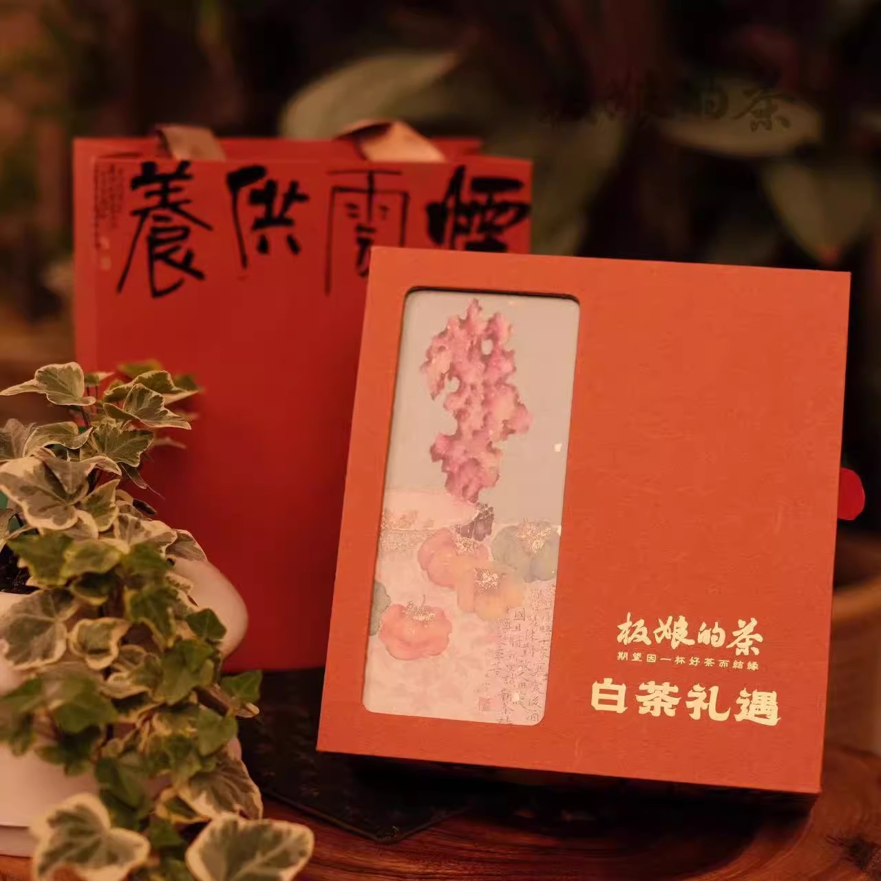 福建太姥山白毫银茶果白牡丹寿眉白茶礼遇礼盒荒野贡眉伴手礼送礼