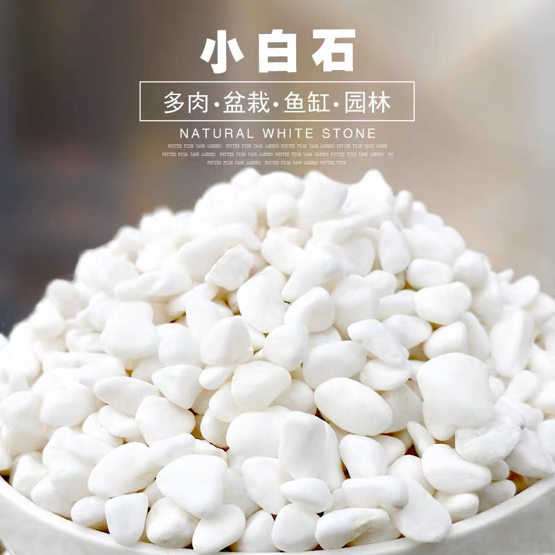 多肉铺面石白色石子石头鹅卵石庭院铺路铺垫小白石头造景景观白石