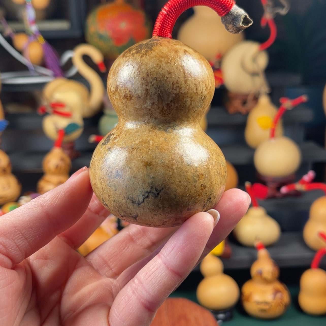 【闪购商品】天然葫芦