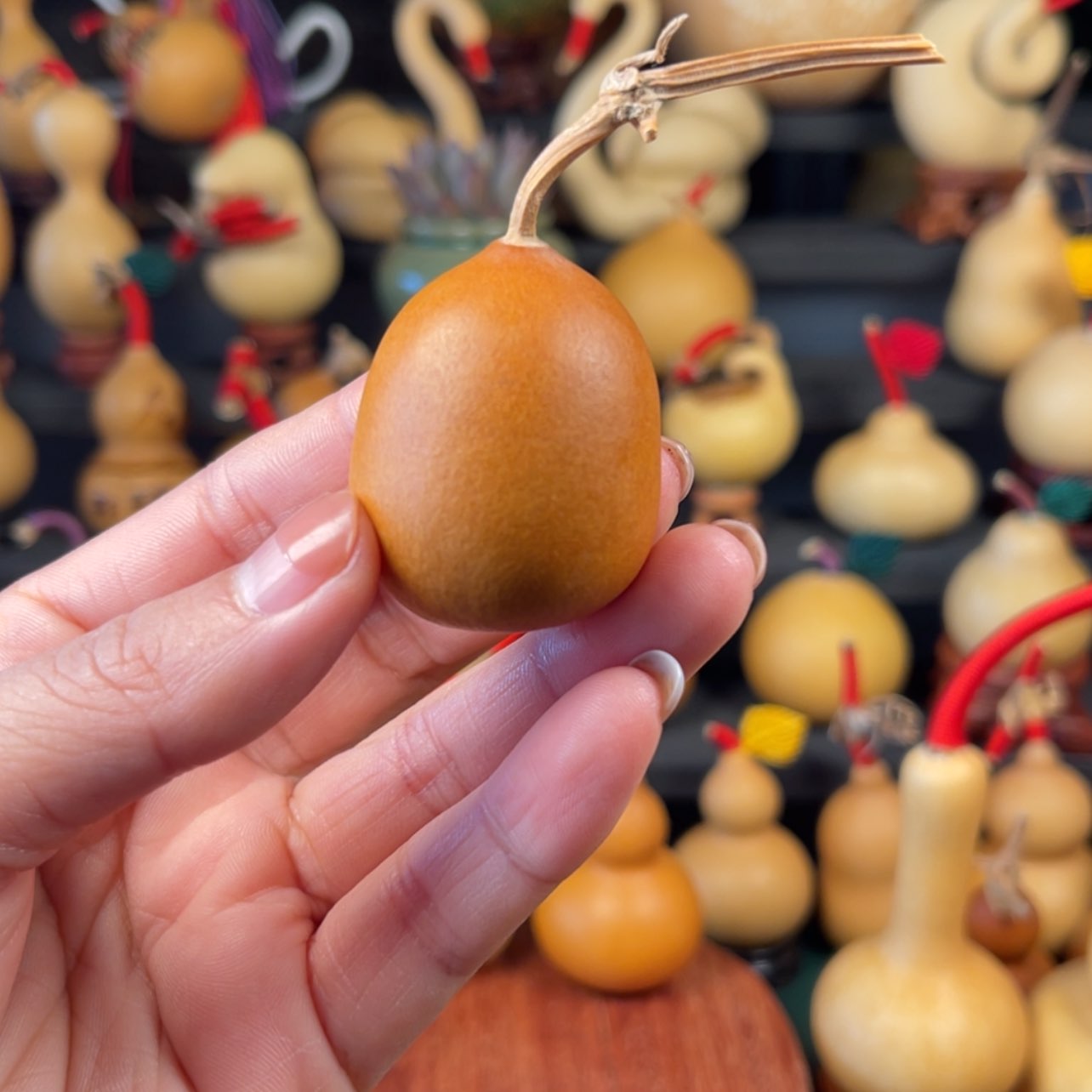 【闪购商品】天然葫芦崎**路