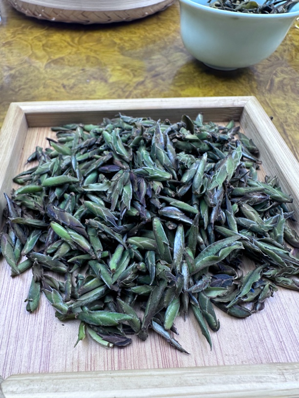 大雪山新化村6号2024年野生芽包单株1.1kg普洱生茶头春头采