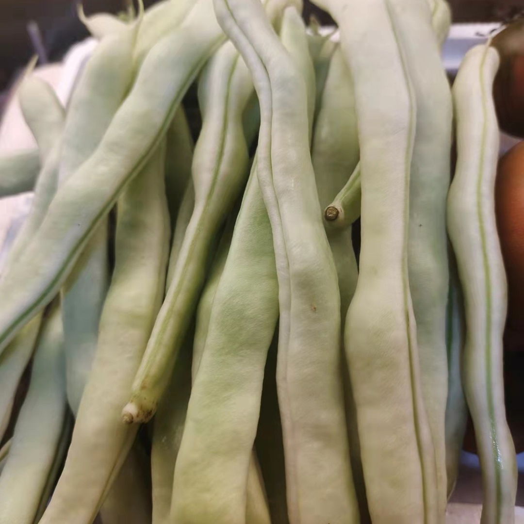 白豆净重1.8斤【顺丰包邮】