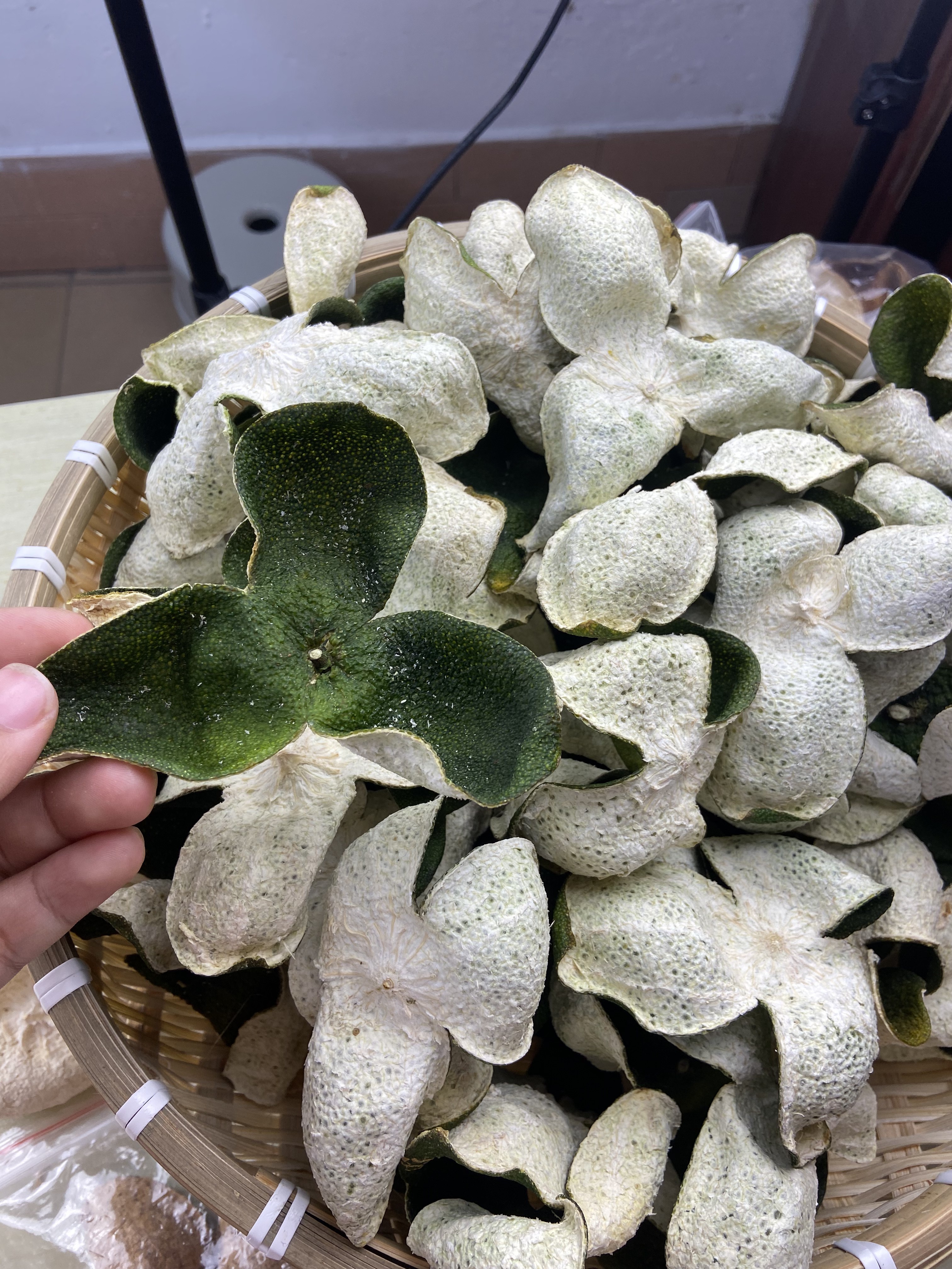 2025年天马十月大青皮陈皮新皮