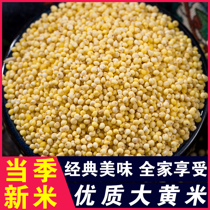 大黄米超粘糯粟米糯小米包粽子粘豆包煲粥黄米黍米五谷杂粮粥