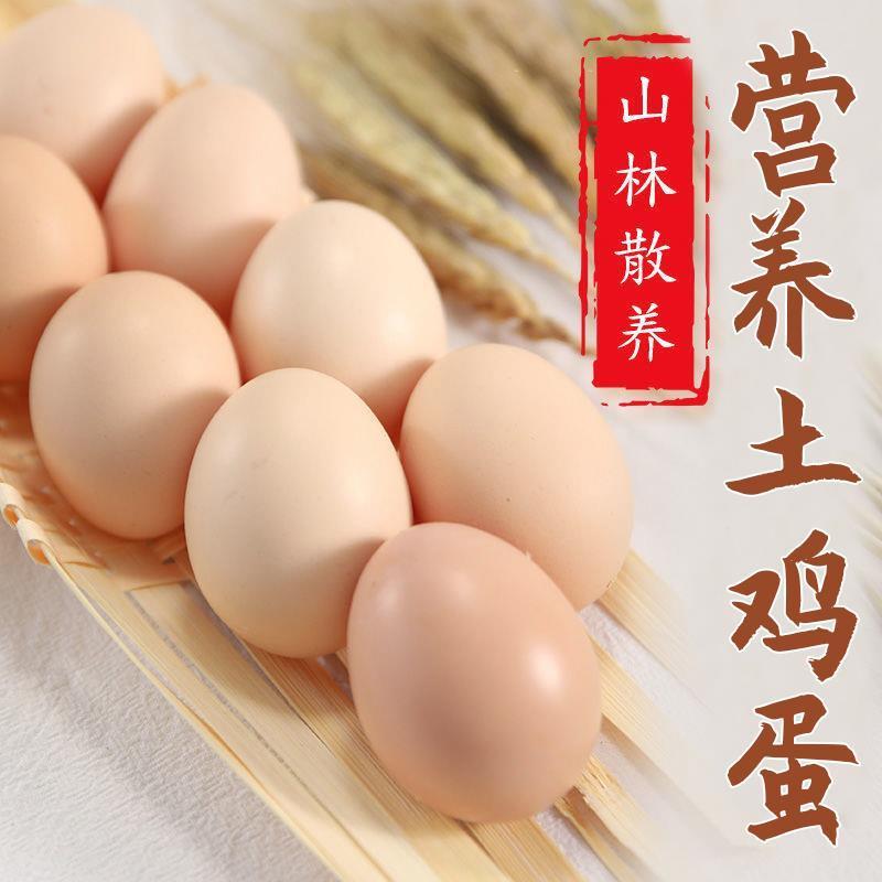 乡村土鸡蛋山林放养40枚/1750g左右散养土鸡蛋高品质营养可孵小鸡