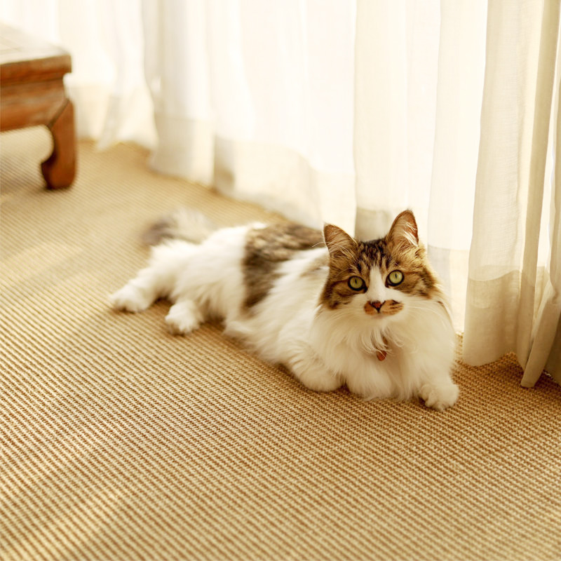 客厅茶几垫地毯可爱家用卧室简约陶瓷防滑阳台加厚日式剑麻垫猫爪