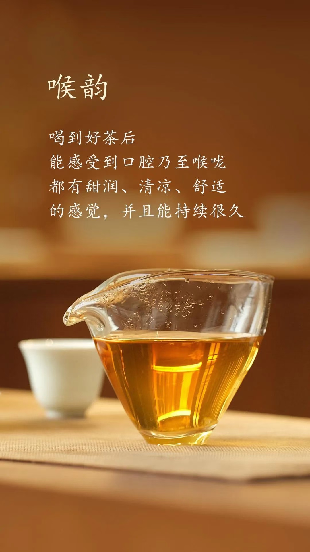 茶沫改价补发链接【2】 直播间随单发9g  不限购