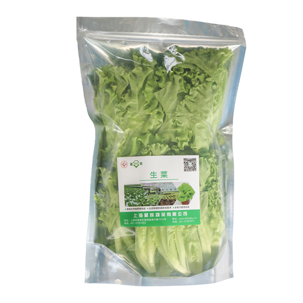 水培嫩绿生菜，安全，健康，新鲜，洁净，可生食！