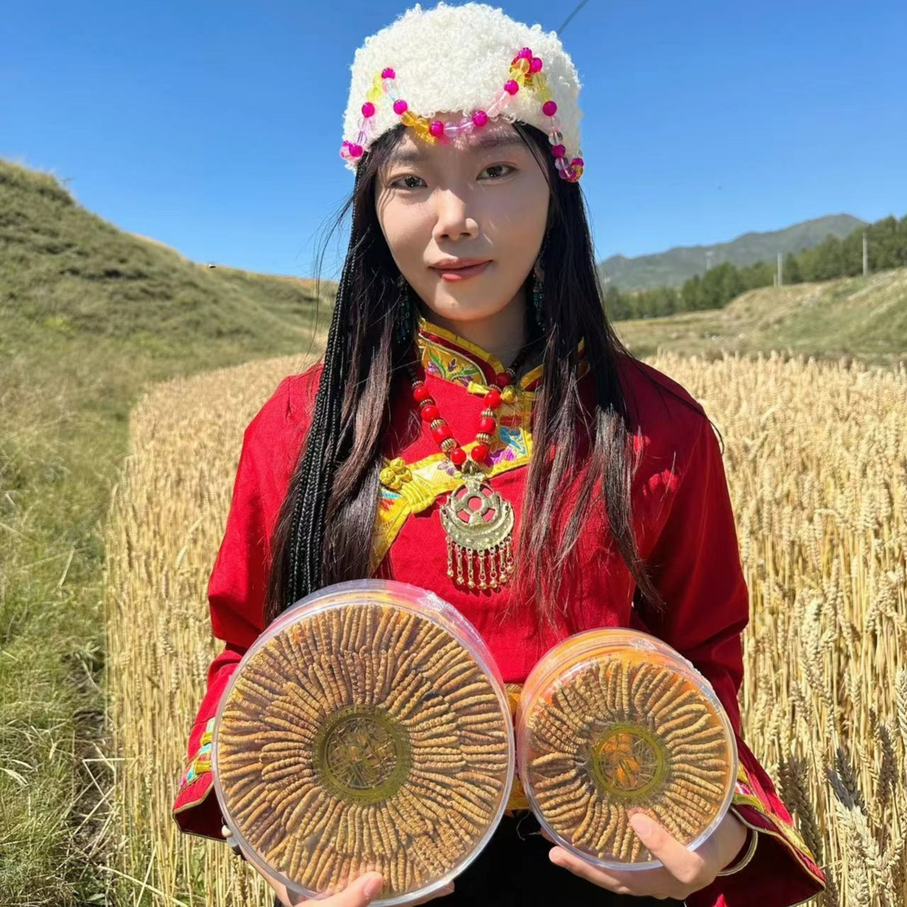 严选头期头茬新干冬虫夏草 100根中大草！     