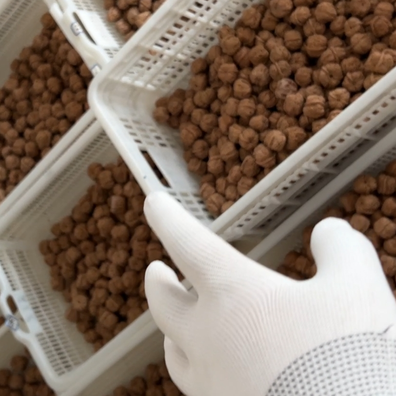 随机核桃一对超级福袋专属链接