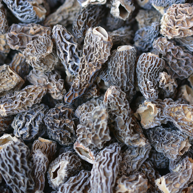 野生羊肚菌香格里拉羊肚菌50克-250克